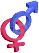   anadyr.men-aptekar.ru  